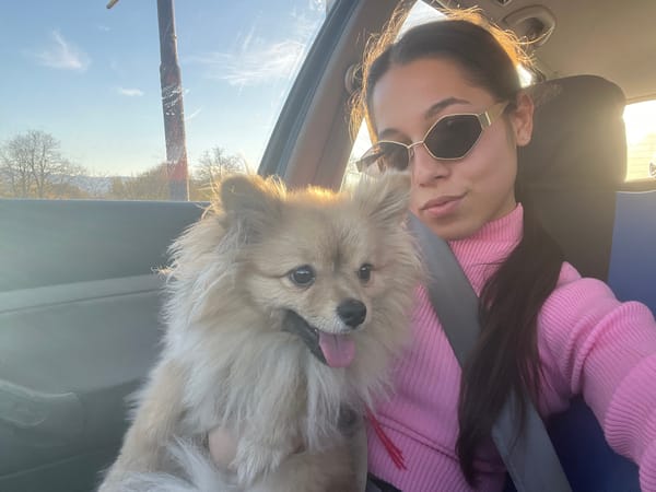 Woman and Pomeranian dog buckled up together in car