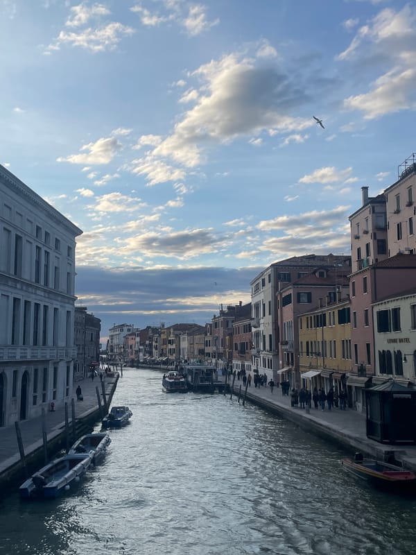 Pastry displays documented at Venice bakery