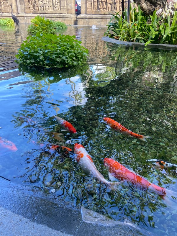 Tourist documents peaceful koi garden in Kuta Selatan