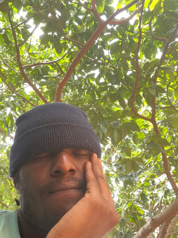 Morning scenes in Jos: person under tree, dog interaction