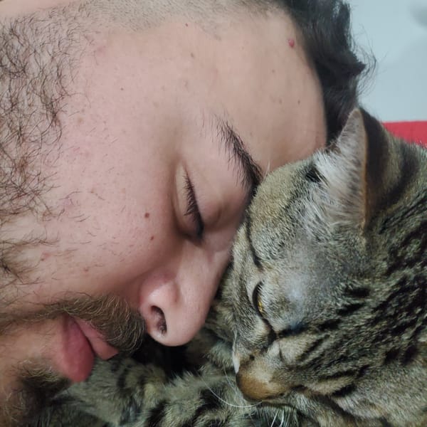Man and tabby cat share quiet moment in Curitiba