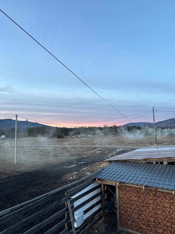 Rural horse farm life documented in Tyulyuk, Russia