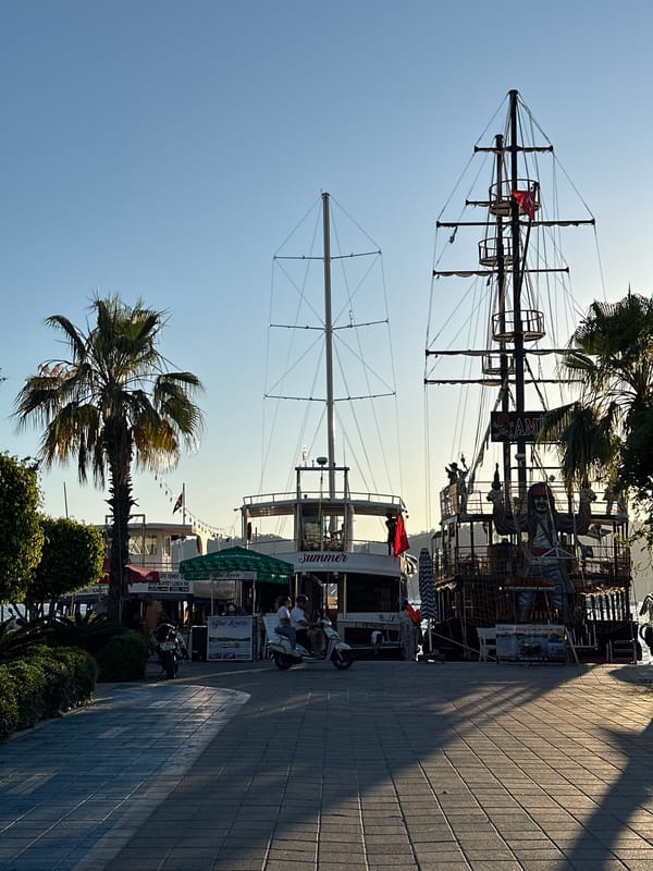 Tourist pets cats on sunny Fethiye waterfront promenade