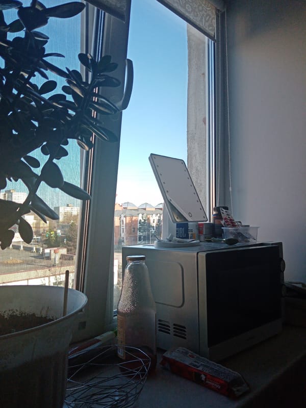 Domestic life documented in Elektrostal home and garden