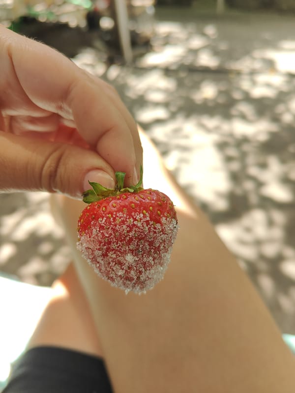 Summer afternoon at a Kryvyi Rih yard: strawberries, tea, and animals