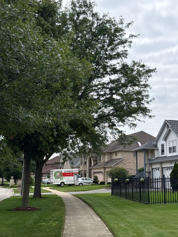 Afternoon in Bolingbrook: suburban streets and an IKEA run