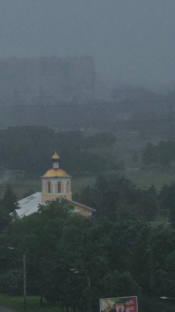 Cats, a church dome, and everyday moments in Saint Petersburg