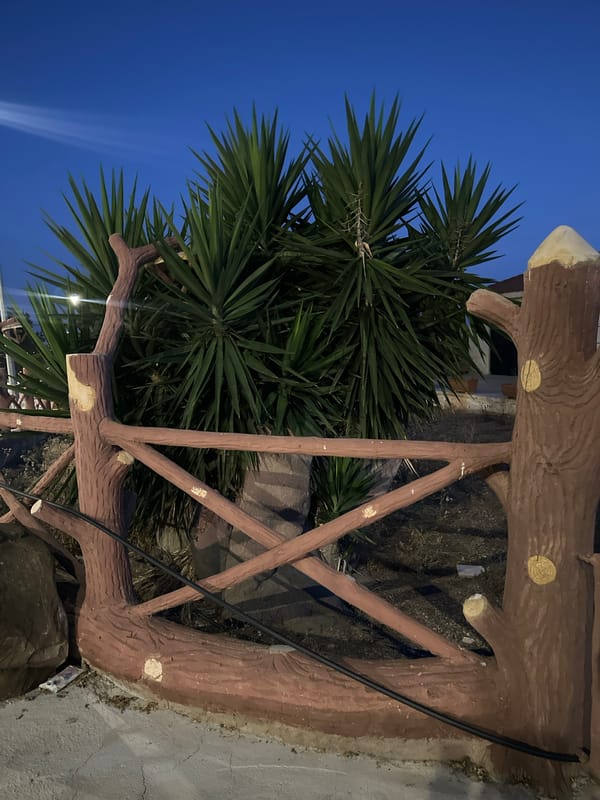 Summer night in Peyia: bars, pools, and palm-lined streets