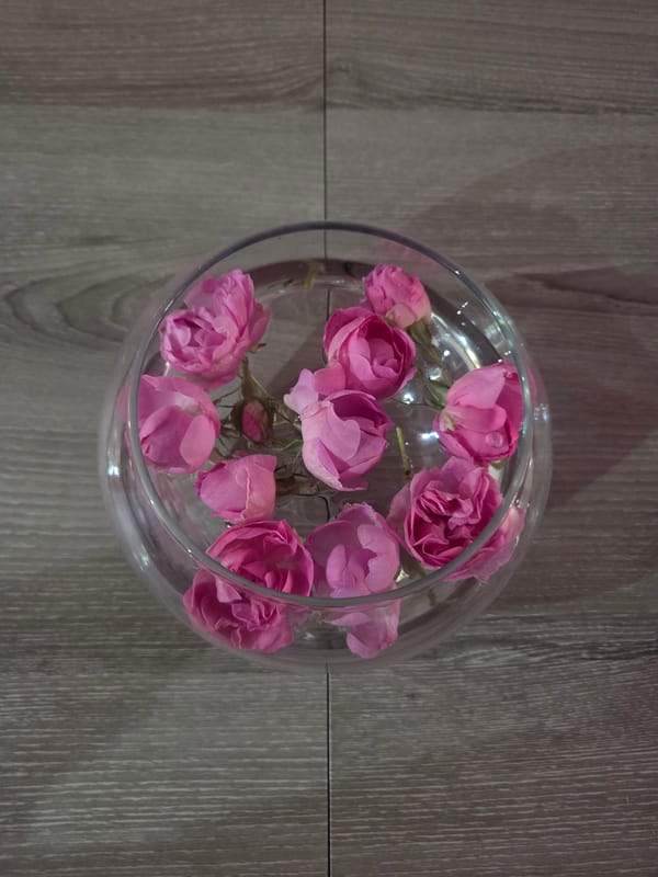 Fresh pink rose petals displayed in glass bowl, Plovdiv