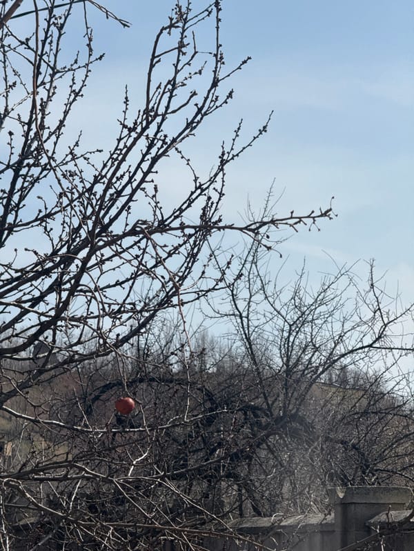 Domestic life moments documented in Makiivka, Ukraine