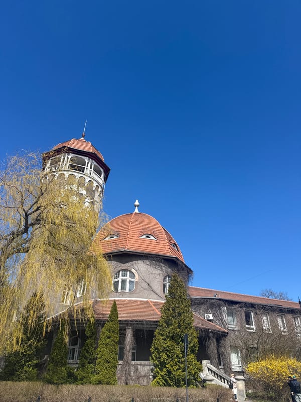 Tourist captures Svetlogorsk landmarks during brief April morning walkabout