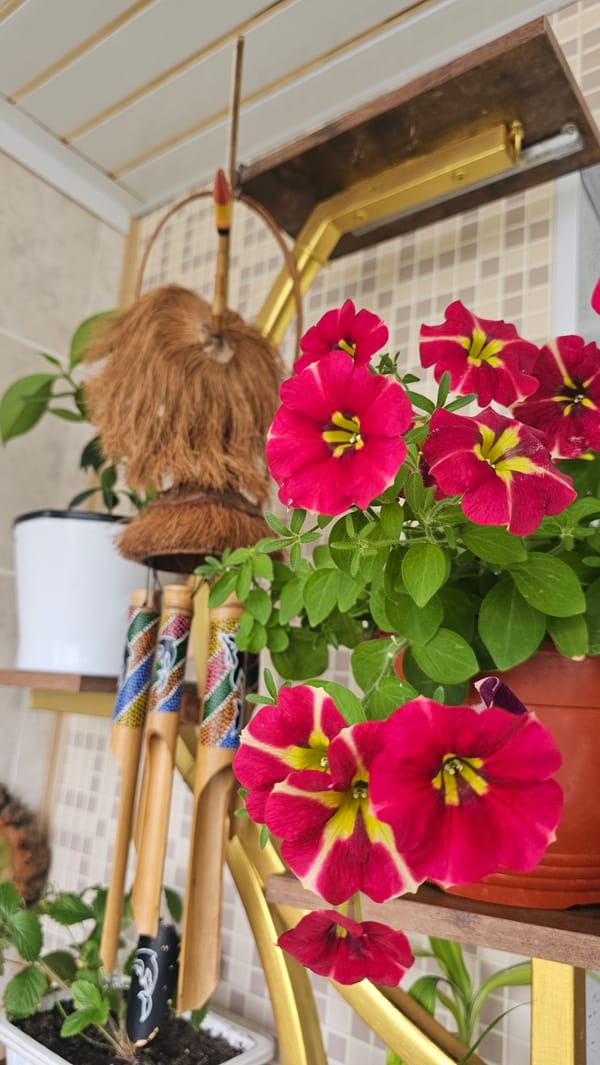 Potted flowers on a Smolensk shelf, summer morning