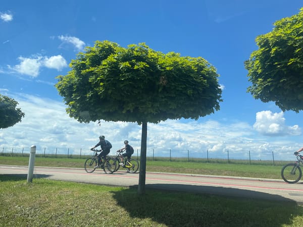 Midday scenes captured: cyclists, selfies, suburban paths under sunny skies