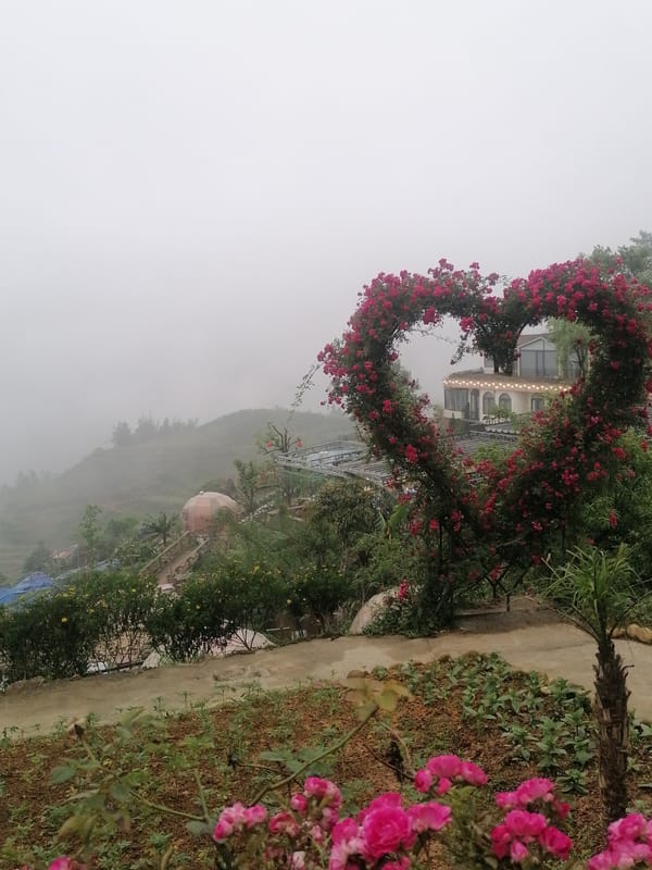 Foggy morning life unfolds across Sa Pa Ward tourist town