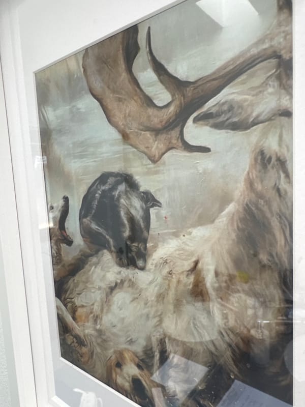 Diverse images captured in quick succession in Puebla