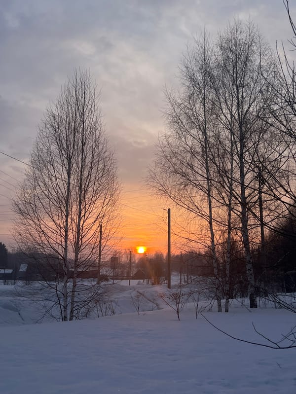 Winter morning documented in Sergino, Russia with landscapes, medals