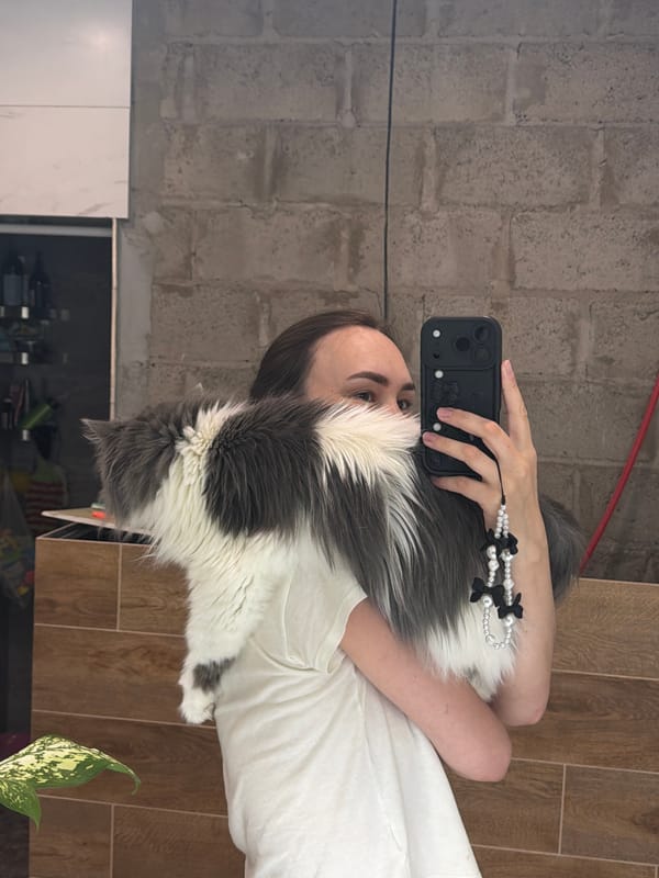 Chaikovsky resident documents lazy afternoon with beloved cat