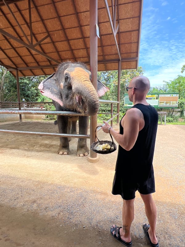 Tourists feed elephants at Baan Thurian sanctuary, Thailand