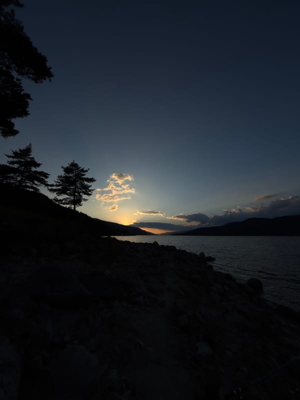 Sunset over a mountain lake, pine silhouettes and fading light