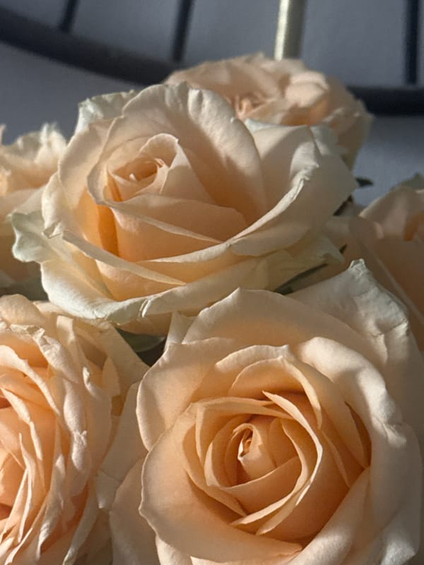 Interior decoration and flowers documented in Bat Yam home