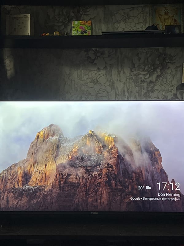Screens showing nature scenes, plus a relaxed Siamese cat