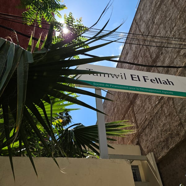 Witness documents Fez street scenes and minaret architecture