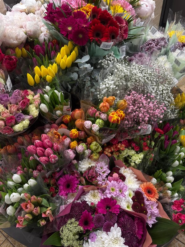Morning grocery shopping documented in Kaarst, Germany