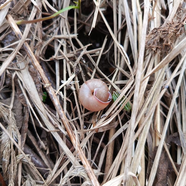 Spring afternoon life documented across Chaikovsky, Russia