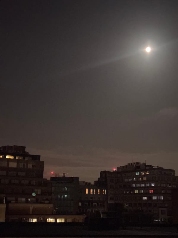 Evening scenes captured in Antwerp: moonlit cityscape, TV wildlife