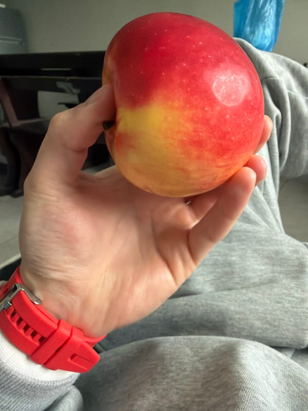 Morning scenes captured in Bulgarian town show apple, misty cityscape