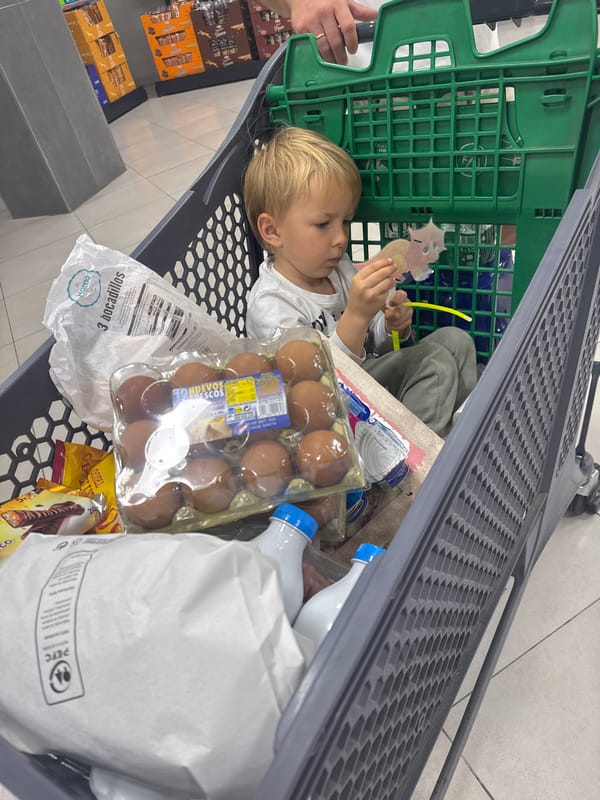 Child plays with dragon toy while resting in shopping cart