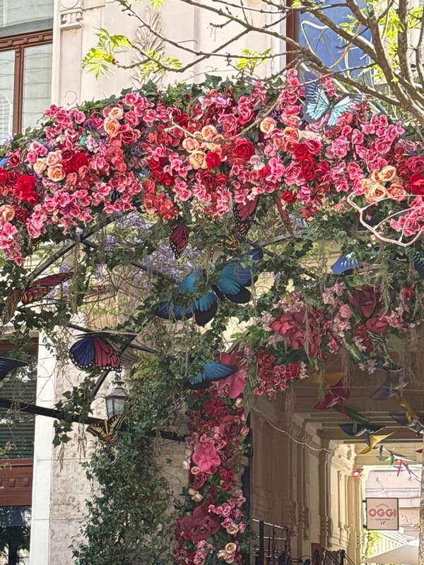 Floral archway and courtyard scenes captured in Budapest