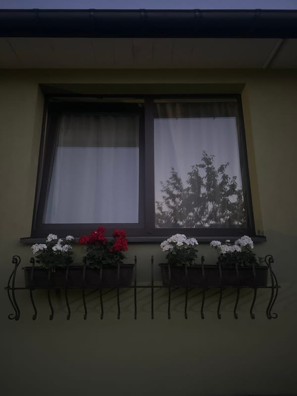 Evening in Lapės: garage, a green wall, and OKADA's menu