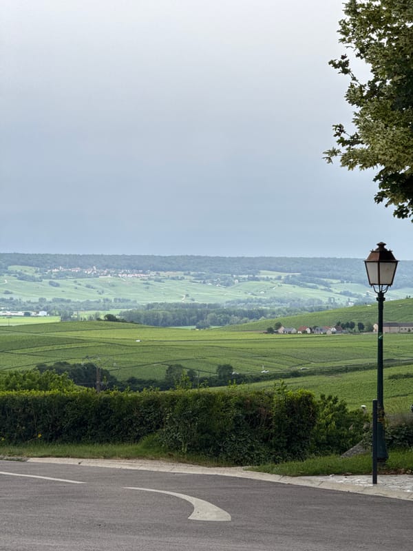 Witness documents Champillon vineyards and village in five-minute photography session