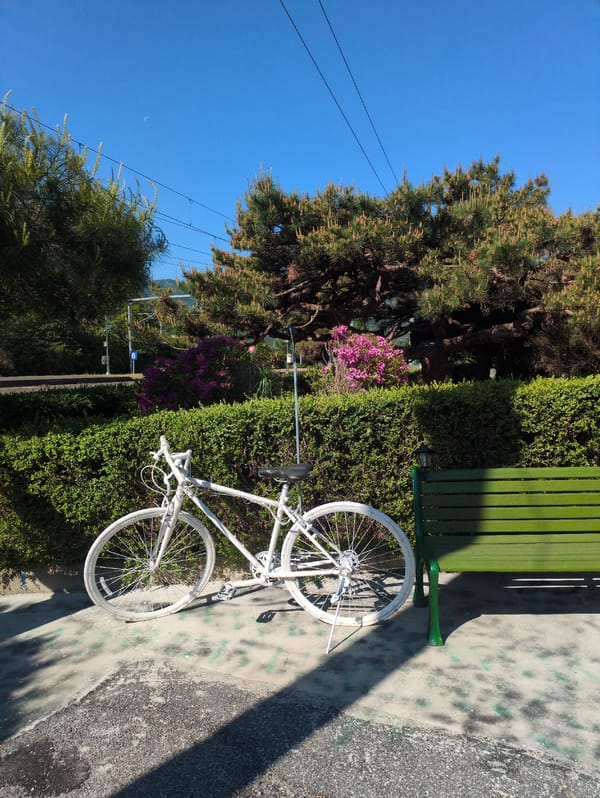 Spring evening scenes documented in Iwon, South Korea