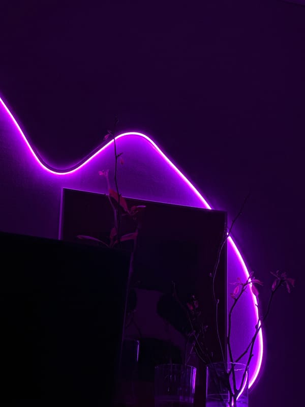 Pets relax in purple-lit home in Trudovaya, Russia