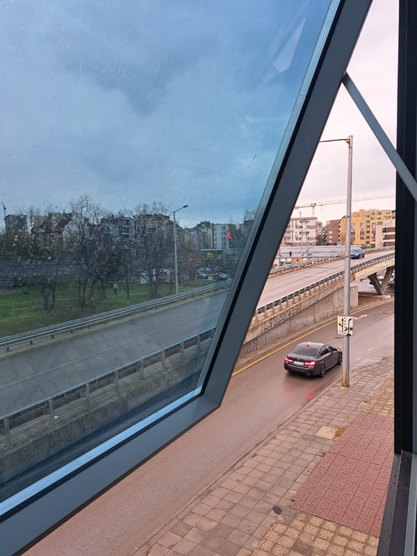 Witness documents ordinary city street view and cactus transport