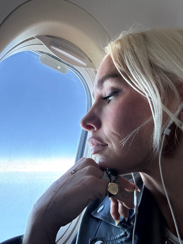 Passenger spotted on flight over Denmark wearing leather jacket