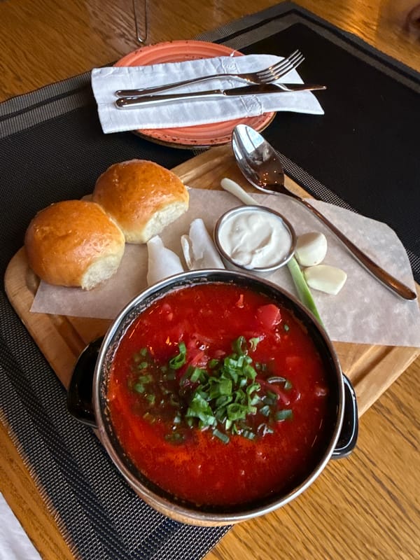 Visitor documents dining experience at Village restaurant in Olginka