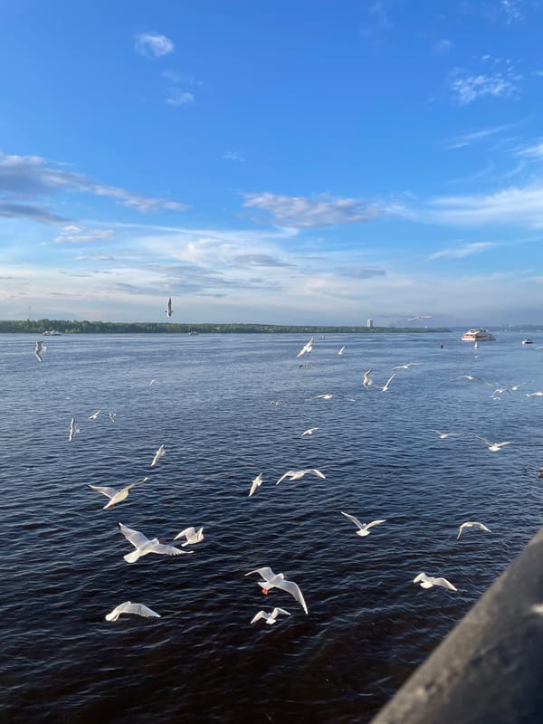 Outdoor riverside performance draws crowds to Perm embankment