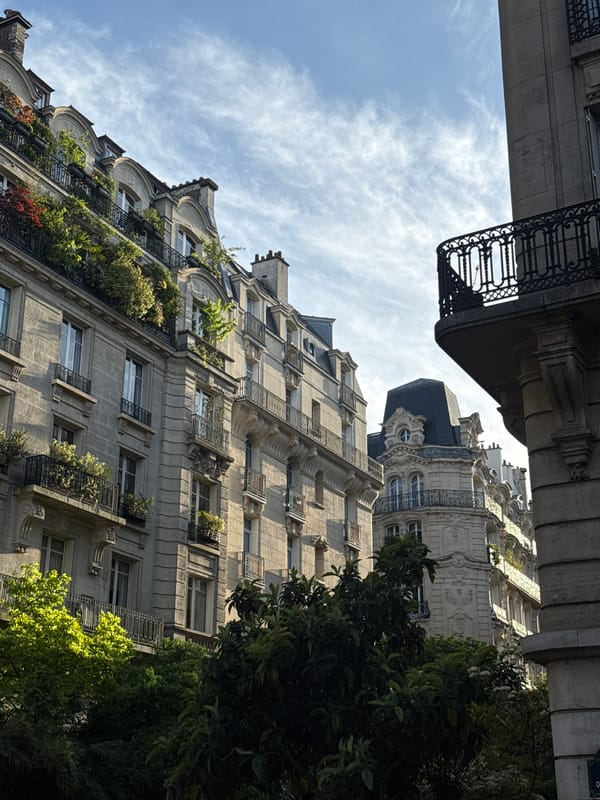 Parisian apartment buildings observed under partly cloudy afternoon sky