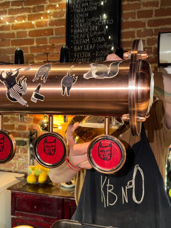 An evening at a quirky, cat-themed bar in Tbilisi