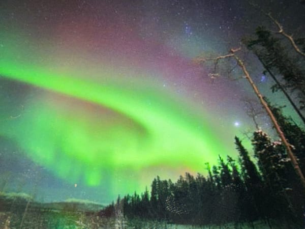 Aurora displays, horses in field, baby toys closeups