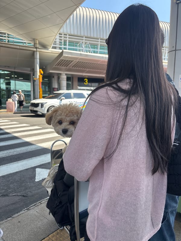 Departure day scenes from Jeju International Airport