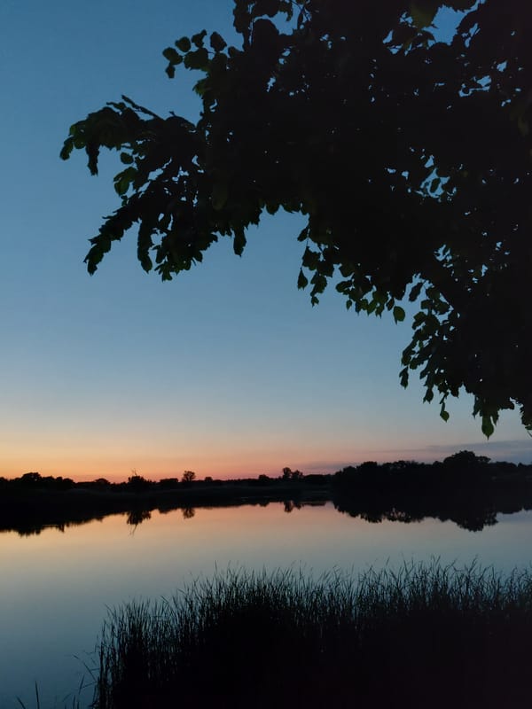 Twilight gathering documented along Ustyvytsia waterfront during summer evening