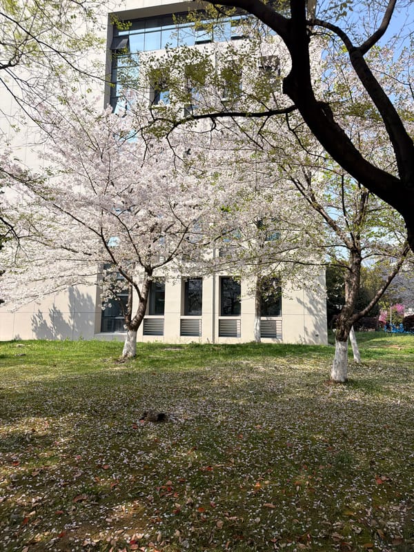 Campus and street life captured in Jiangning District