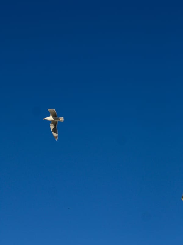 Hillside Muslim cemetery documented in Tangier, Morocco