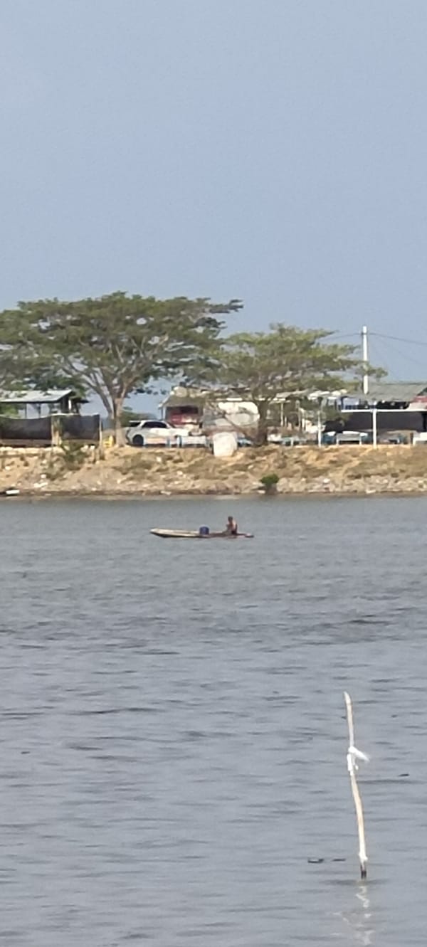 Boats, a paddleboard, and an egret on Lhokseumawe waters