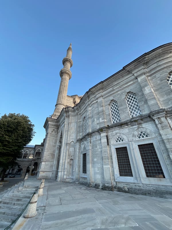 Witness Documents 45 Minutes of Daily Life in Historic Istanbul