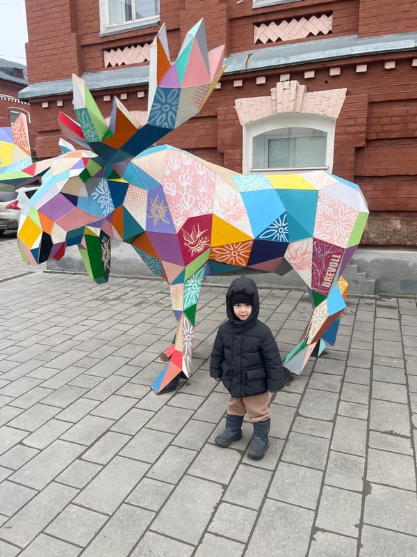 Child visits geometric animal sculptures in Ulyanovsk park